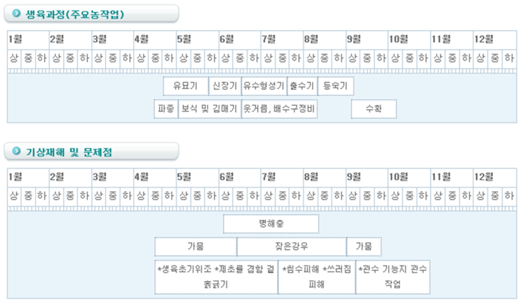  수수 재배과정과 기상재해/병충해 방제법 알아보기