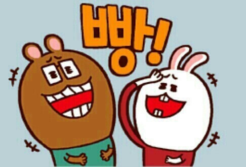  강아지 3마리 추락사고