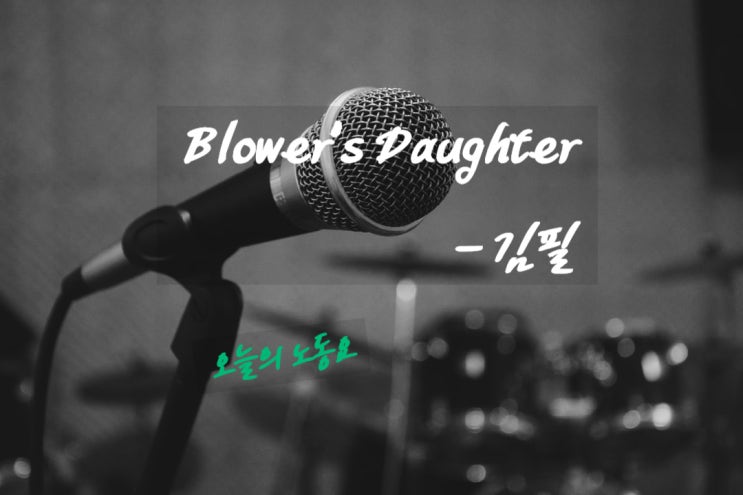 오늘의 노동요 - 김필의 the blower's daughter 가사보며 잔잔하게 연속듣기