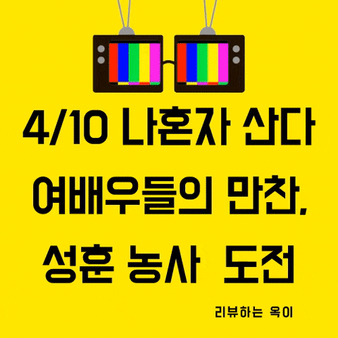  나혼자산다 공효진,손담비,려원/ 성훈 먹방 농사
