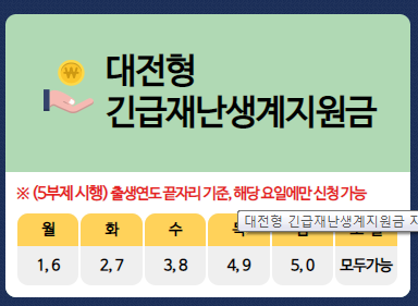  대전 긴급재난지원금 간단하게 신청하자!