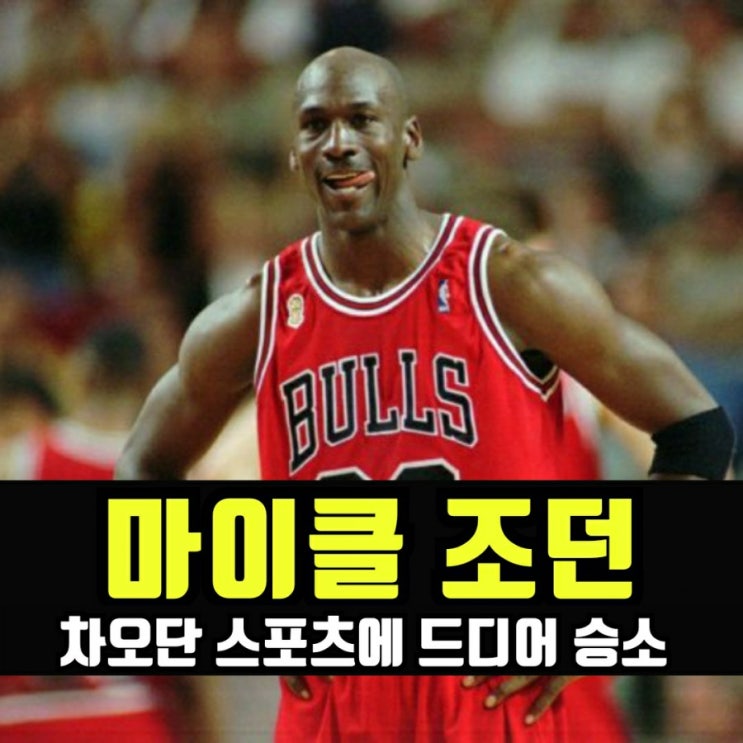  마이클 조던, 중국 짝퉁과의 승소