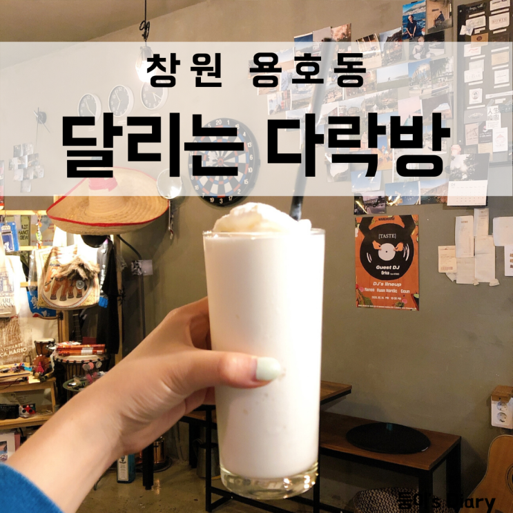  창원 가로수길 카페 달리는 다락방 애견동반 가능카페