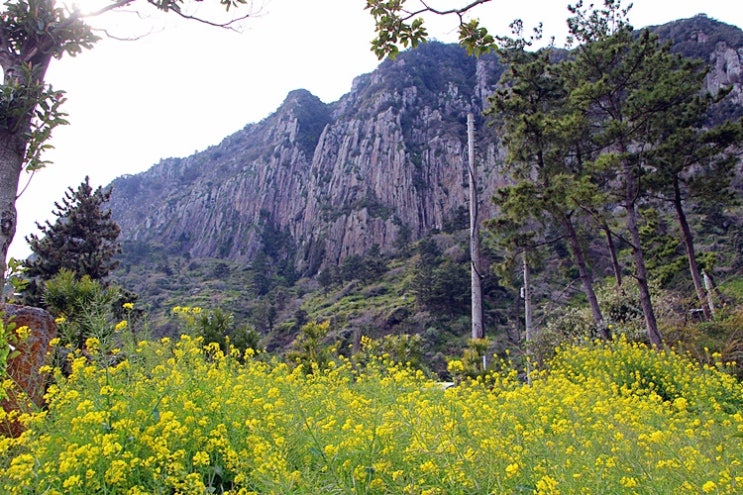  제주 산방산 바다전망 카페 원앤온리