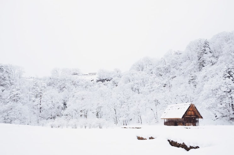  누끼따기 사이트 어플추천 스노우SNOW 이용하는법
