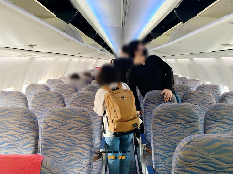 티웨이항공 김포 - 제주 국내선 왕복 비행기 탑승후기 티웨이항공 김포 - 제주 국내선 왕복 비행기 탑승후기