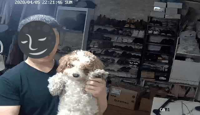  무선 CCTV 토브넷 카메라 강아지 감시카메라로도 좋네요 !