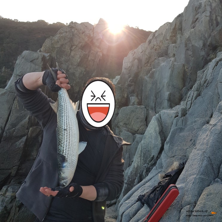  거제도 일운면, 서이말 쇼어지깅 탐사(농어,방어)