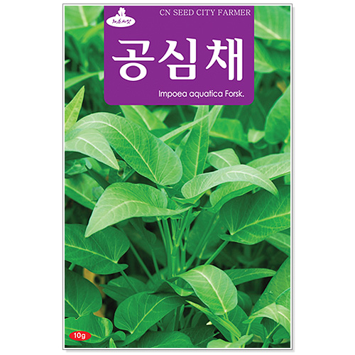 민속씨앗 공심채씨앗 10g 씨앗, 1개 추천해요 민속씨앗 공심채씨앗 10g 씨앗, 1개 추천해요