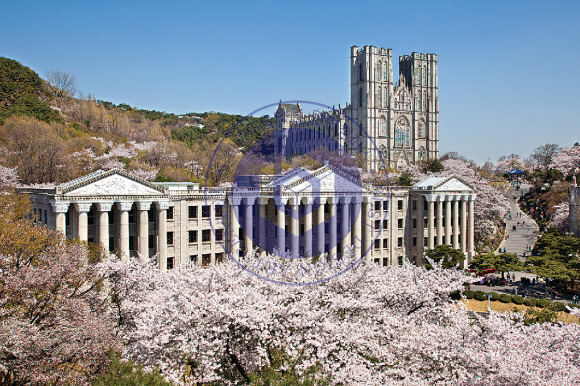  2021학년도 경희대 미대입시 수시&정시 모집 정보 확인하세요-[일산미술학원,예중,예고,입시,전문,덕이동,식사동,풍산동,대화,야당동,중산,초등,중등,고등부,추천,탄현바른미술학원]