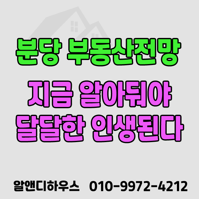  지금 알아두면 달달한 인생되는 분당구 전망.