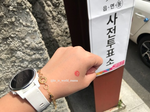 [아일랜드] 해외교민 재외국민 투표불가/투표 못한다/왜...2020 총선 투표권 박탈/코로나때문이야/사전투표/투표기간/투표율