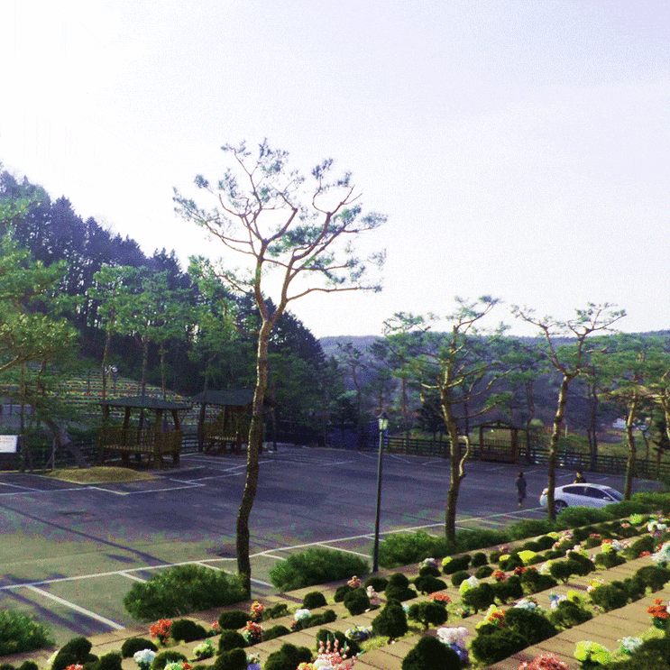  경기도수목장 자리를 잘 마련한 것 같네요.