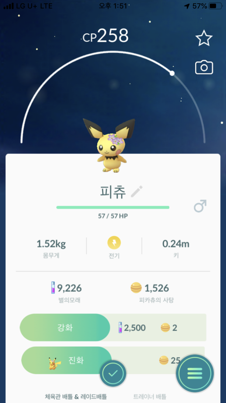  꽃 피츄