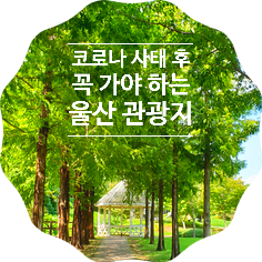  [울산 관광] 코로나 19사태 후 방문해야 할 울산 여행지