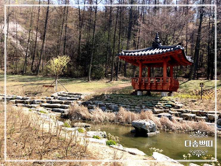  군포시 가볼만한 곳 수리산 도립공원 넓고 산책하기 좋아
