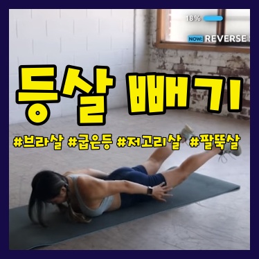  등살 빼는 운동- 브라살,굽은 등 10분 운동