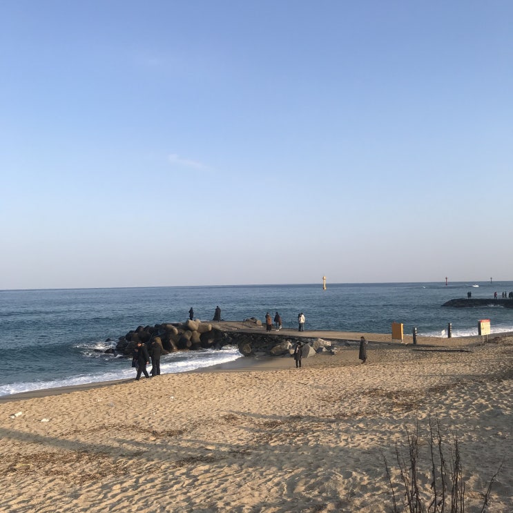  2019 강릉 여행