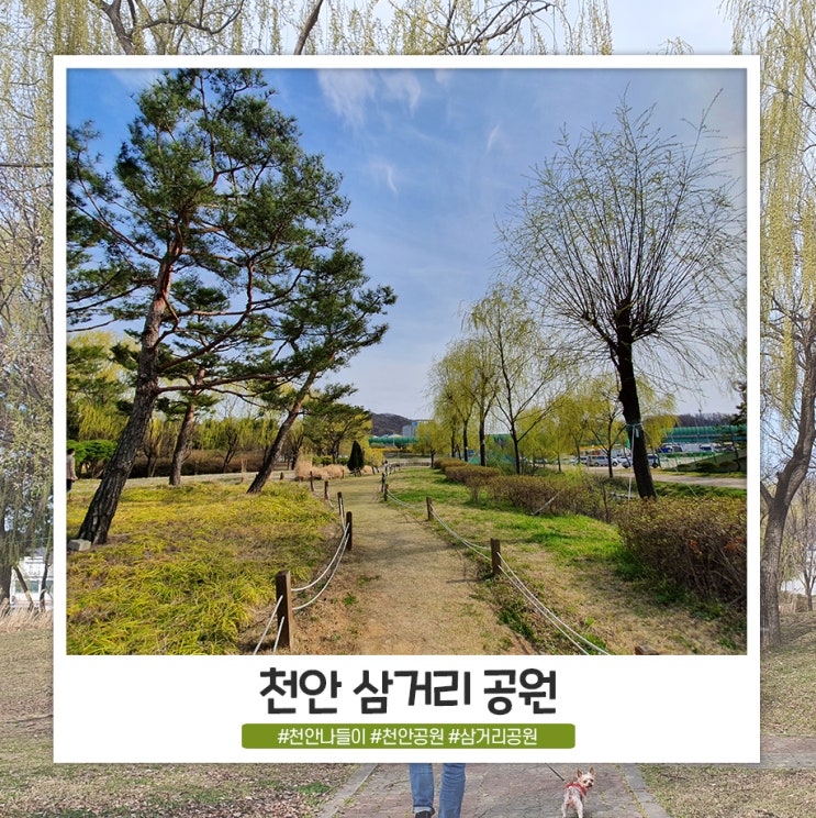 천안 삼거리 공원 나들이 하기 좋아요 천안 삼거리 공원 나들이 하기 좋아요
