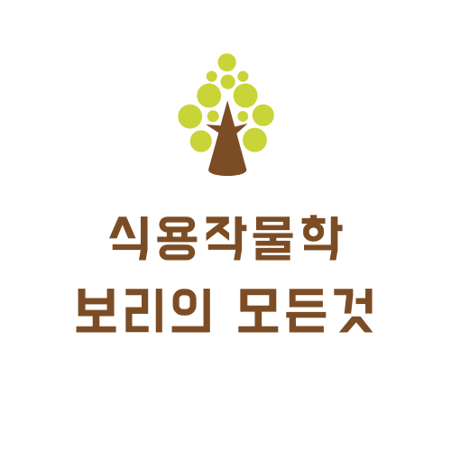  [식용작물학 요약] 맥류-보리(형태,생리생태,품종,환경,기술,특수재배 등)