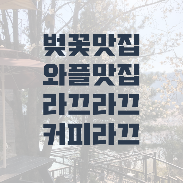  제천, 청풍호 VIEW가 환상적인 카페