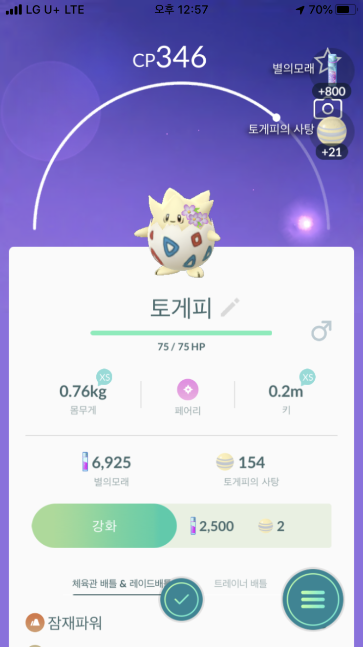  꽃 토게피