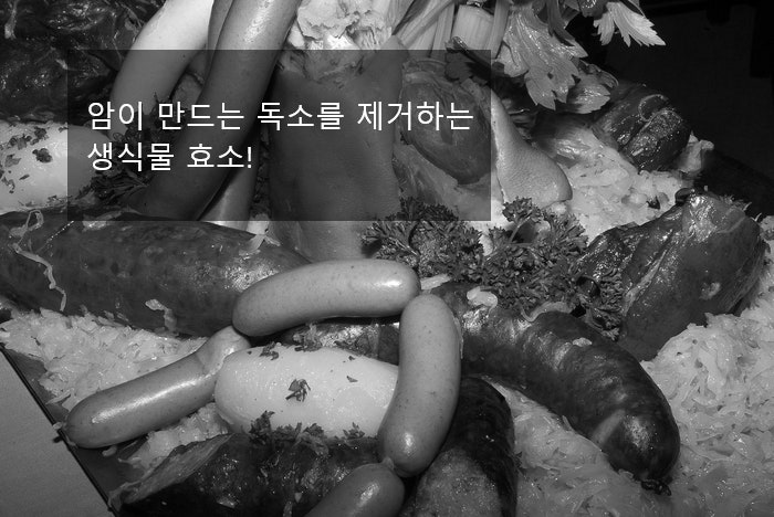 암 치료에 좋은 식품과 사력을 키우자 [AHCC박사] 8