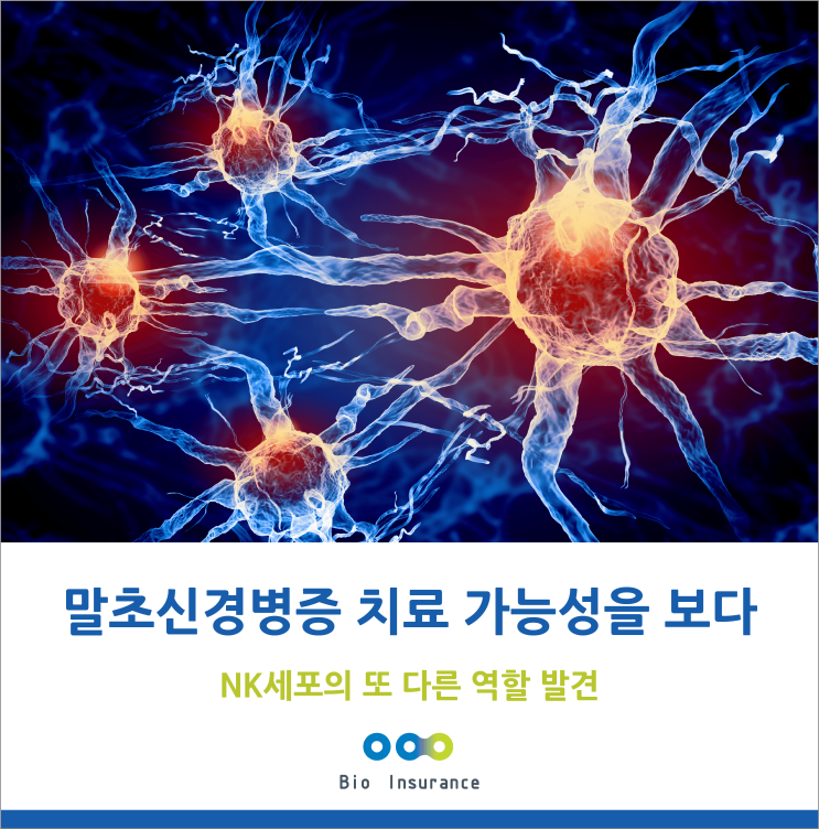  말초신경병증 치료 가능성을 보다