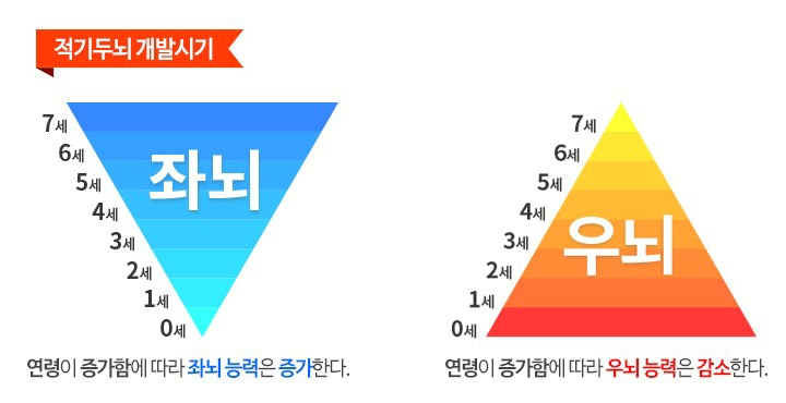  속독은 왜 하는가? 속독에 대한 오해와 편견/ 5분에책1권읽기 울산격동센터