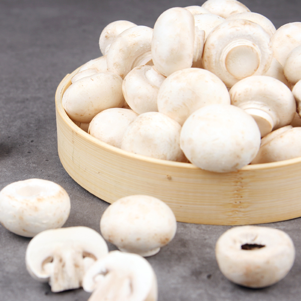  <최저가>지투지 담백한 양송이 버섯 500g 1kg 2kg, 1box, 양송이버섯 500g(상) 꿀정보예요~