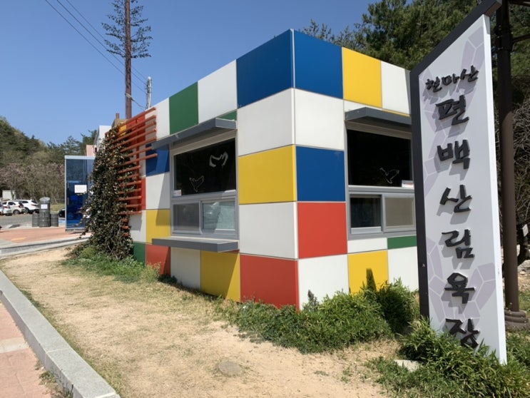  울산 북구 편백숲 산림욕장,천마산
