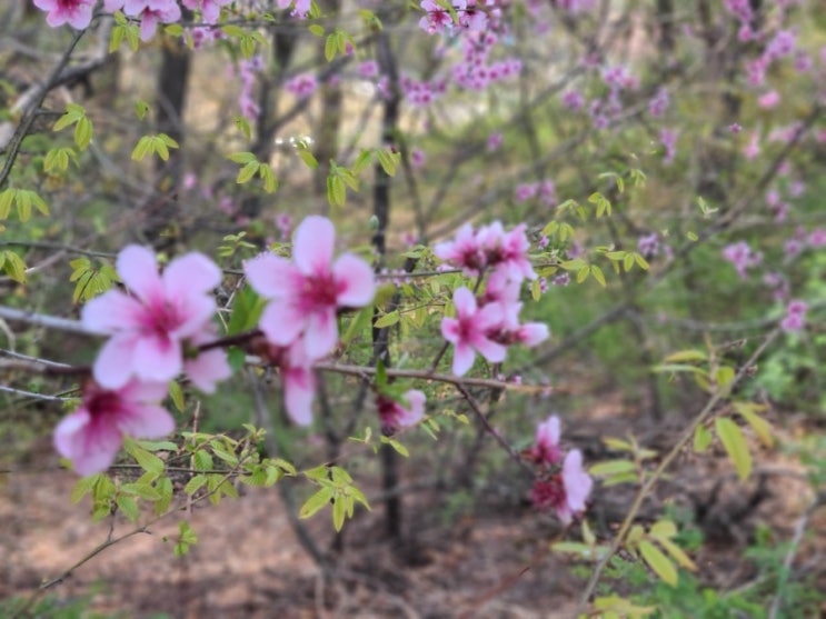  오늘도 행복