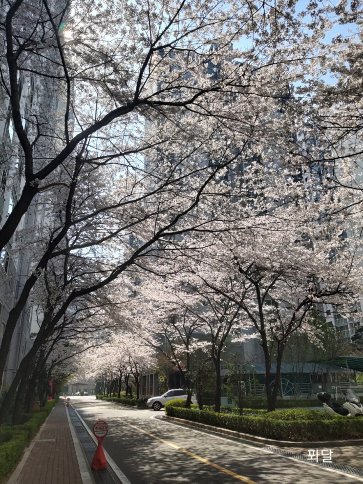  국회의원 사전투표 하셨나여?
