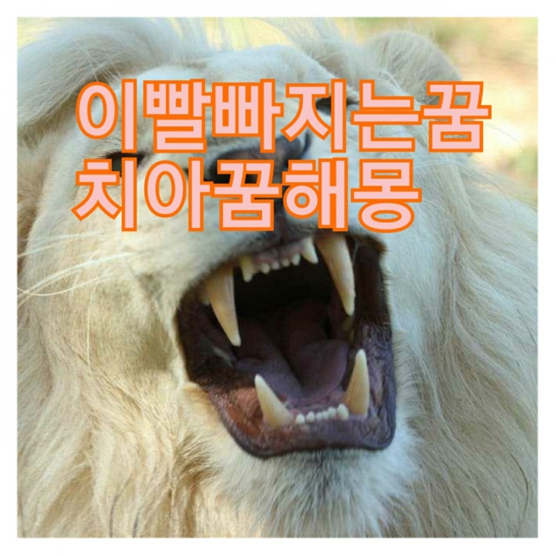치아 꿈 해석: 당신의 꿈의 10가지 의미!