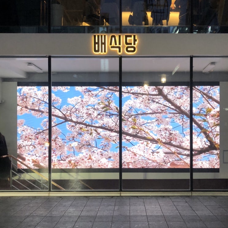  [강남맛집] 신사 청담 핫플 배식당