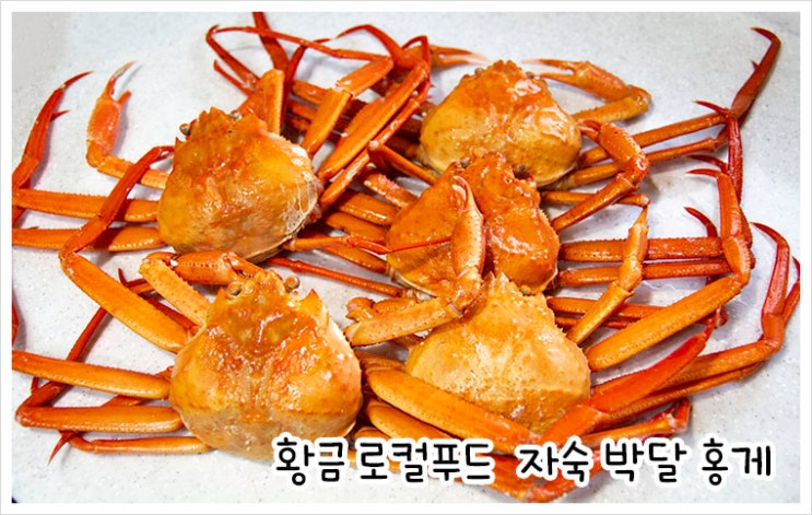  [황금로컬푸드]  살이 꽉찬 박달홍게로 제대로된 홍게 파티 즐겨요~