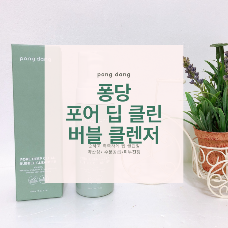  모닝클렌징 순한클렌징폼으로퐁당 포어 딥클린 버블 클렌저 추천