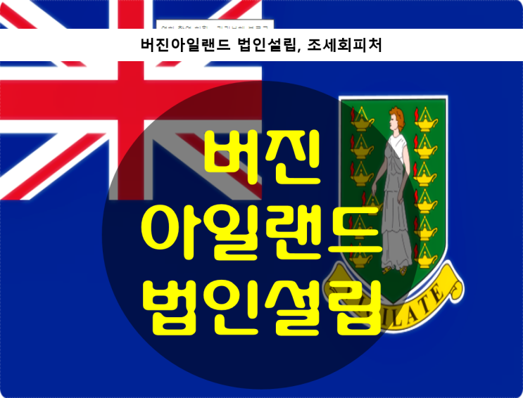  버진 아일랜드 법인설립