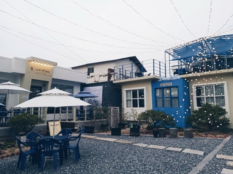 대전맛집 대동 블루카돈&블루블코