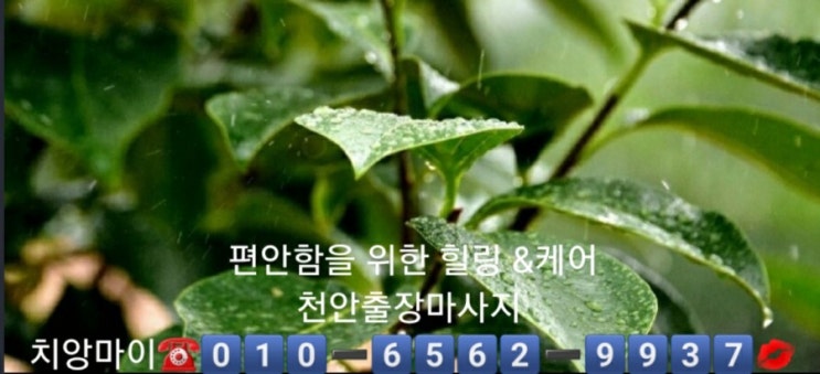  c천안 출장마사지 천안 출장타이마사지 천안 출장 안마 치앙마이‼ c