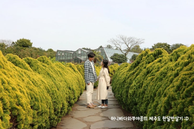  [공지] 현재 제주살이 중 (~4/30)