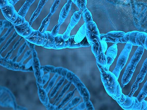  테라젠이텍스 코로나19 RNA 참여로 상한가