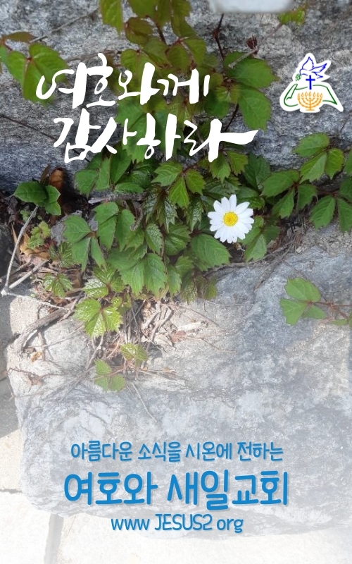 새일교회 ㅣ 흰 말은 적그리스도가 아닙니다 새일교회 ㅣ 흰 말은 적그리스도가 아닙니다