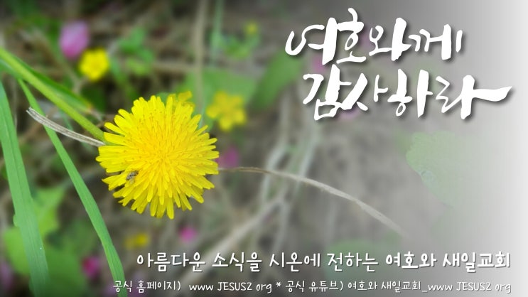 새일교회 말씀 | 환난 때 영화롭게 되는 자