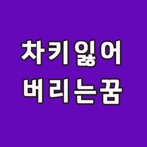 차키잃어버리는꿈 열쇠,차잃어버리는꿈 모두~~