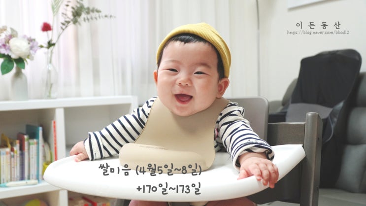  (+170~173일) 완모아기 쌀미음 초기이유식 / 베이비무브이유식마스터기 / 내열용기(글라스락490)추천