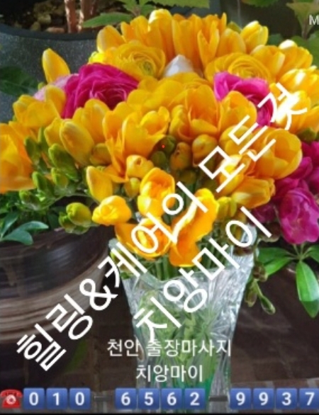  ◾천안 출장마사지(편안함)◾천안 출장 안마(신뢰)◾천안 출장타이마사지(믿을수있는)치앙마이