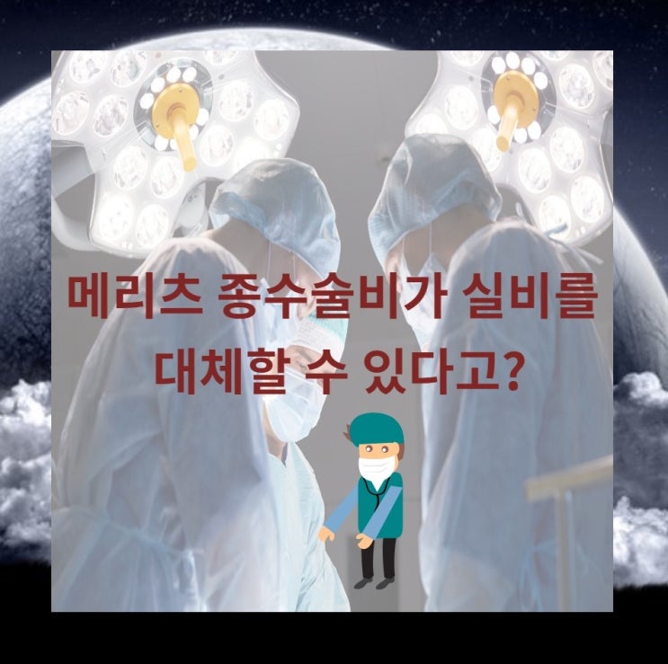  메리츠 종수술비가 실비를 대체할 수있다고?