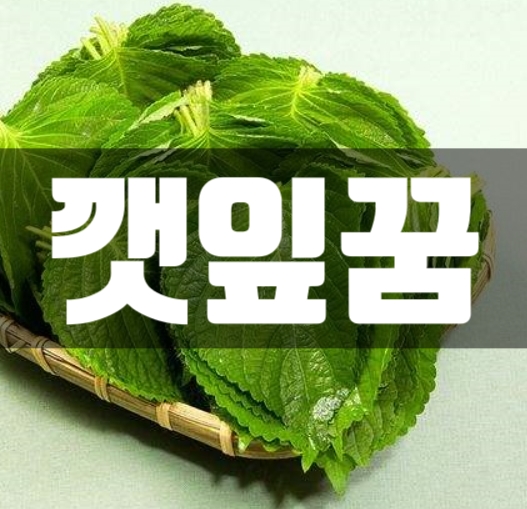  깻잎꿈, 깻잎꿈해몽!! 해 봅니다