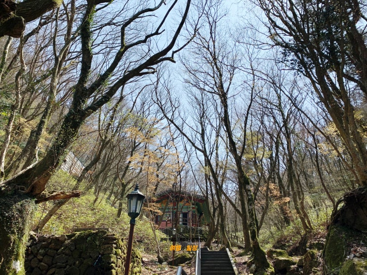 제주도 천왕사! 효리네민박에도 나온 산책하기 좋은 명소 제주도 천왕사! 효리네민박에도 나온 산책하기 좋은 명소